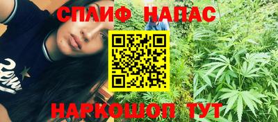 СК Будённовск